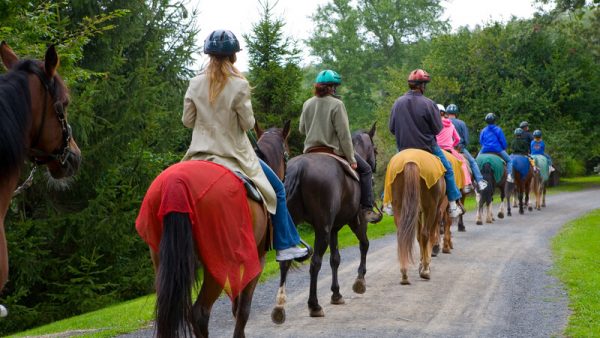 Can Horse-riding or Equine-assisted Therapy help with Chronic Pain?