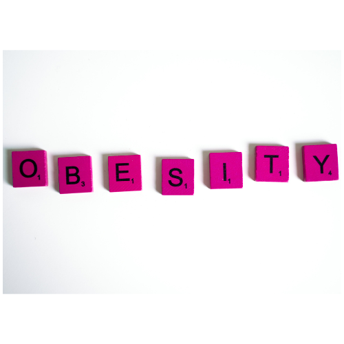 obesity-induced chronic pain research findings